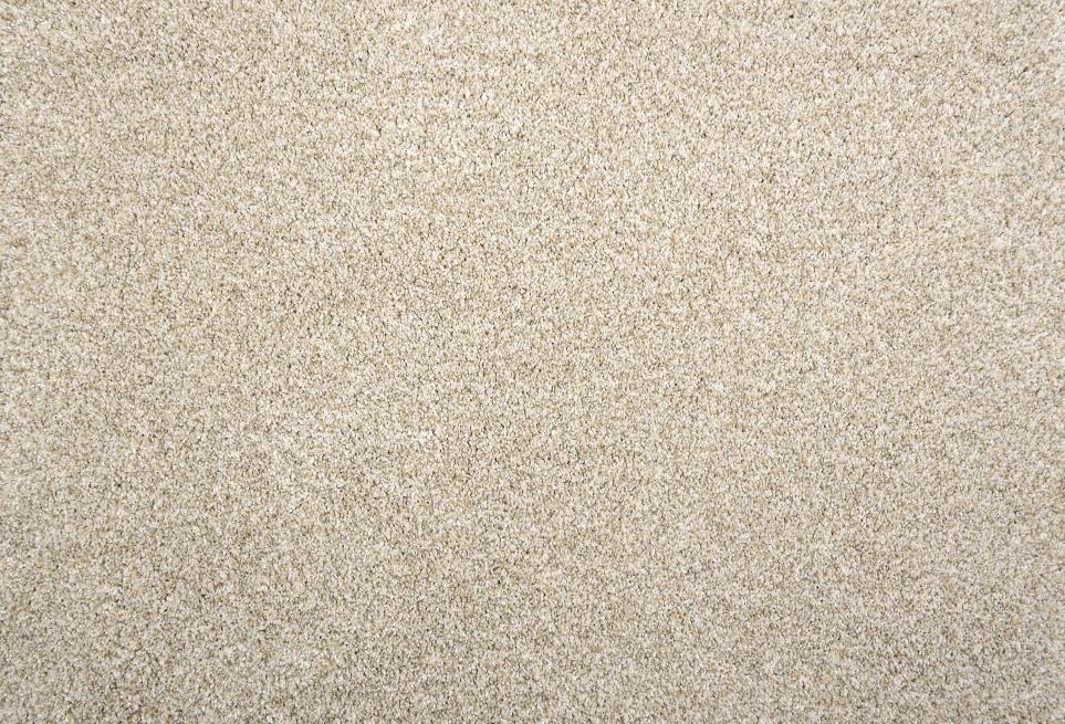 Brighton Swatch