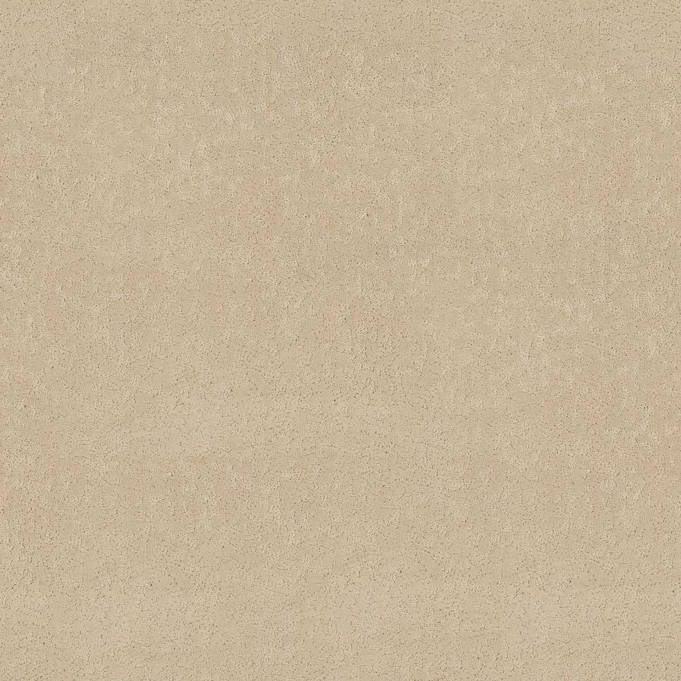 Earthy Sophistication Swatch
