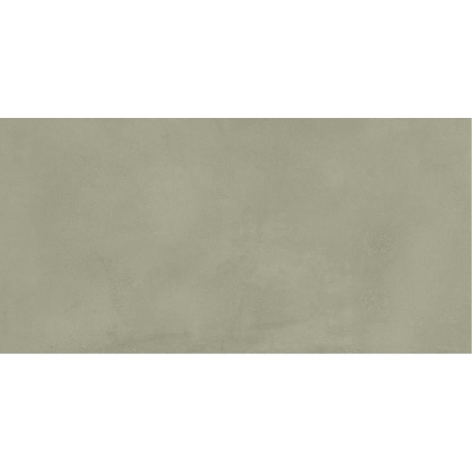 Spectra Matte 12X24 Swatch