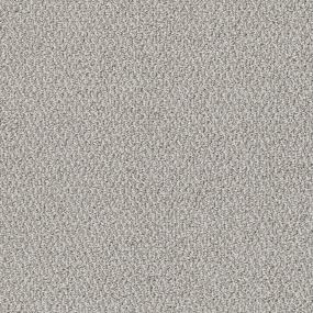 Palazzo Swatch