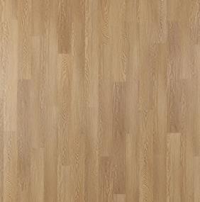 Adura Max Plank Southern Oak Swatch