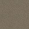 Garden Estate Berber by Resista® Soft Style - Washed Tan