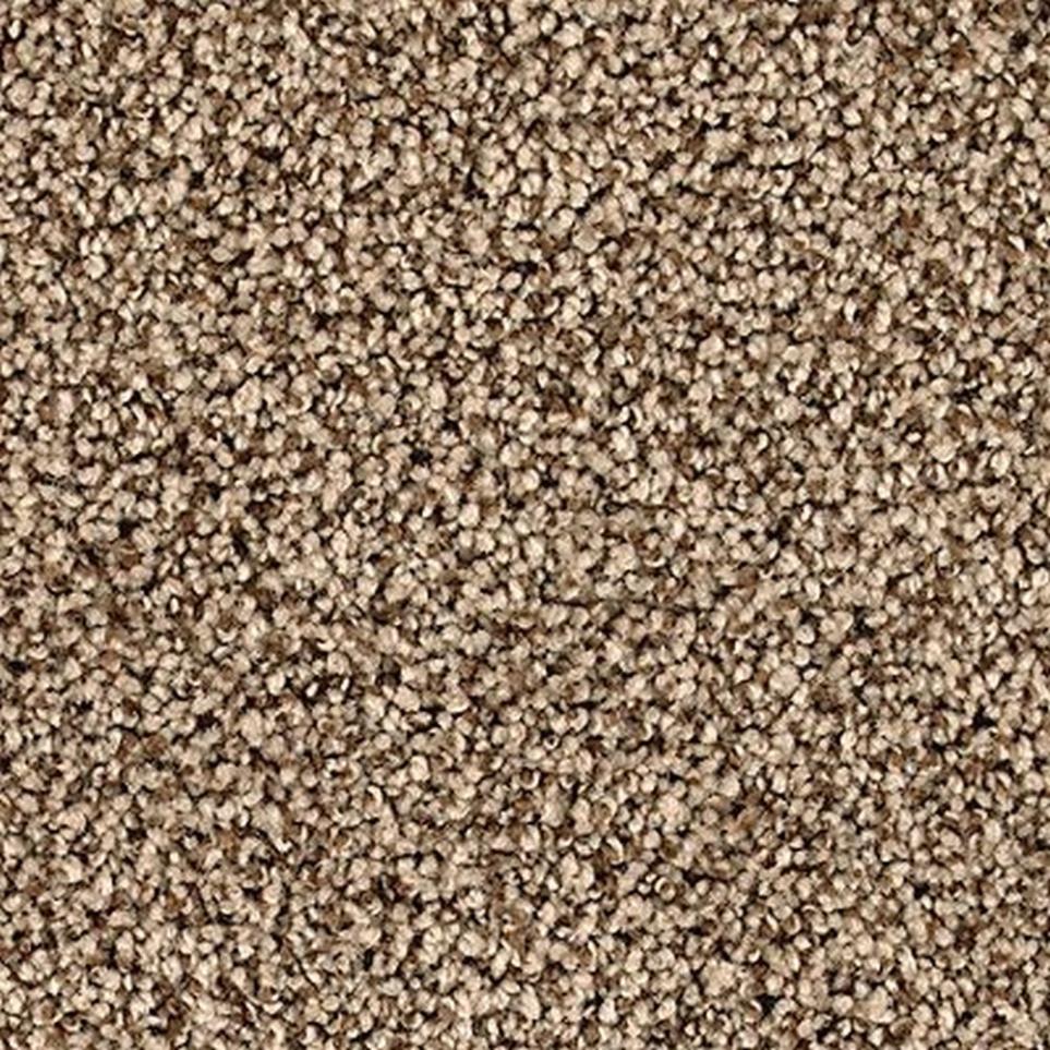 Castle Grounds Swatch