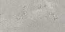 Newport Matte 12X24 Swatch