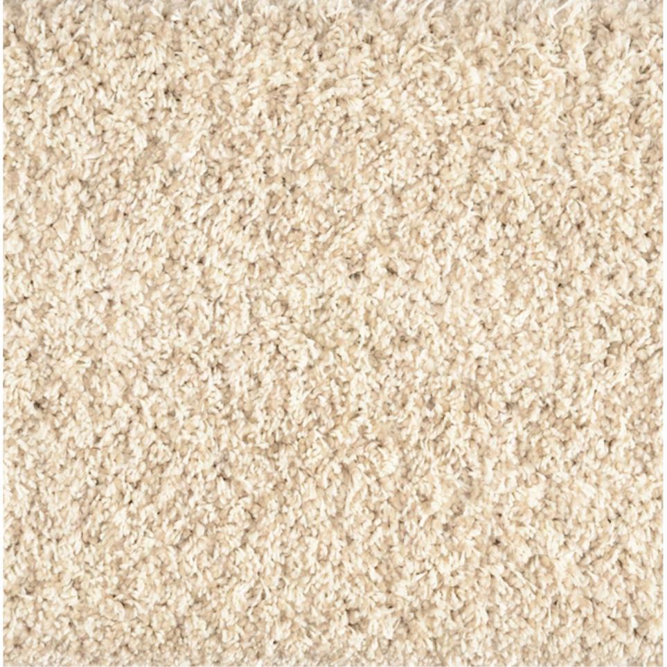 Shaggy Plush Swatch