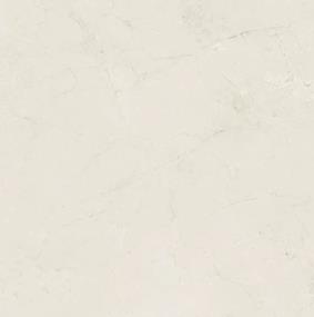 Olimpia Square 24X24 MT Swatch