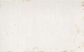 Cogent Matte 10X16 Swatch