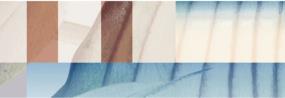 Triveni Satin 2X6 Swatch