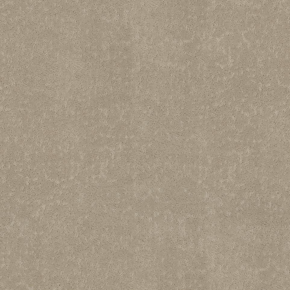 Earthy Sophistication Swatch