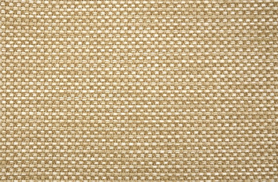 Palm Cove Swatch