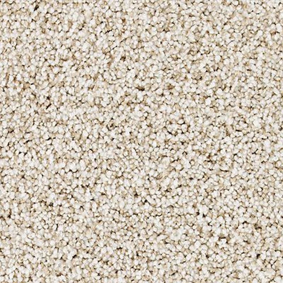 Castle Grounds Swatch