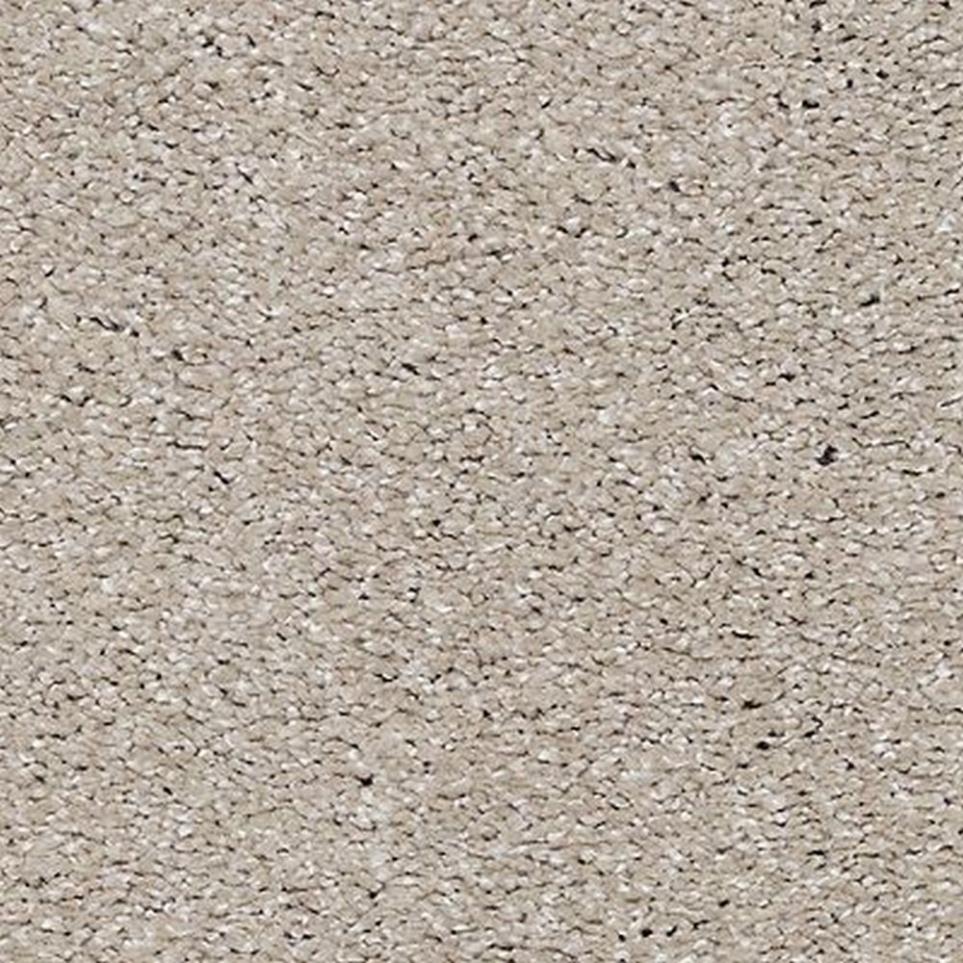 Luxurious Vision Swatch