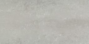 Prodigy Polished 12X24 Swatch