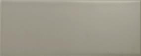 Catch Matte 4X10 Swatch