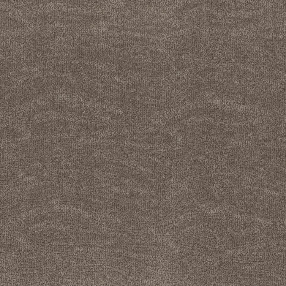 Stylish Trend Swatch