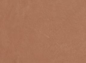 Claytone Matte 24X47 Swatch