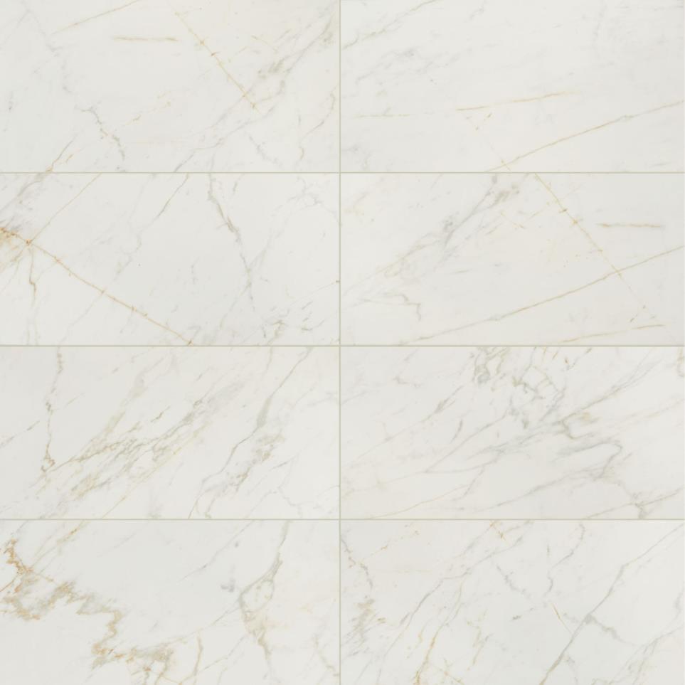 Panoramic Duet Rectangle 24X48 Mt Swatch