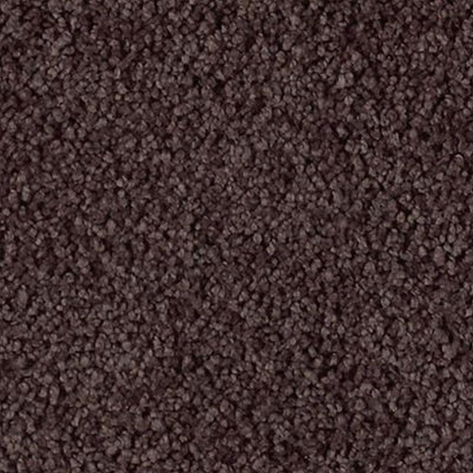 Soft Eloquence Swatch