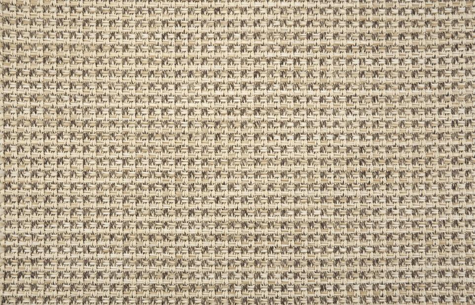 Palm Cove Swatch