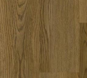 Instudio 20 - Classic Oak Swatch