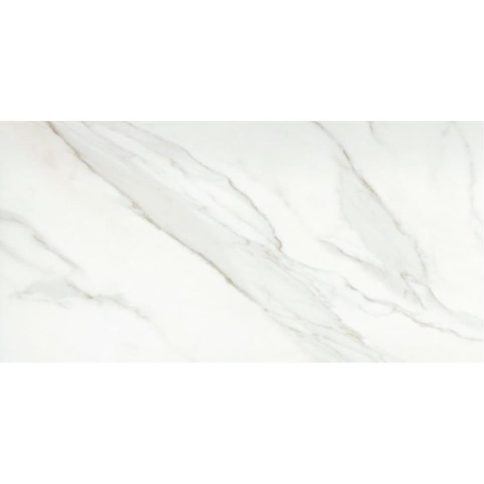 Nobleza Polished 12X24 Swatch