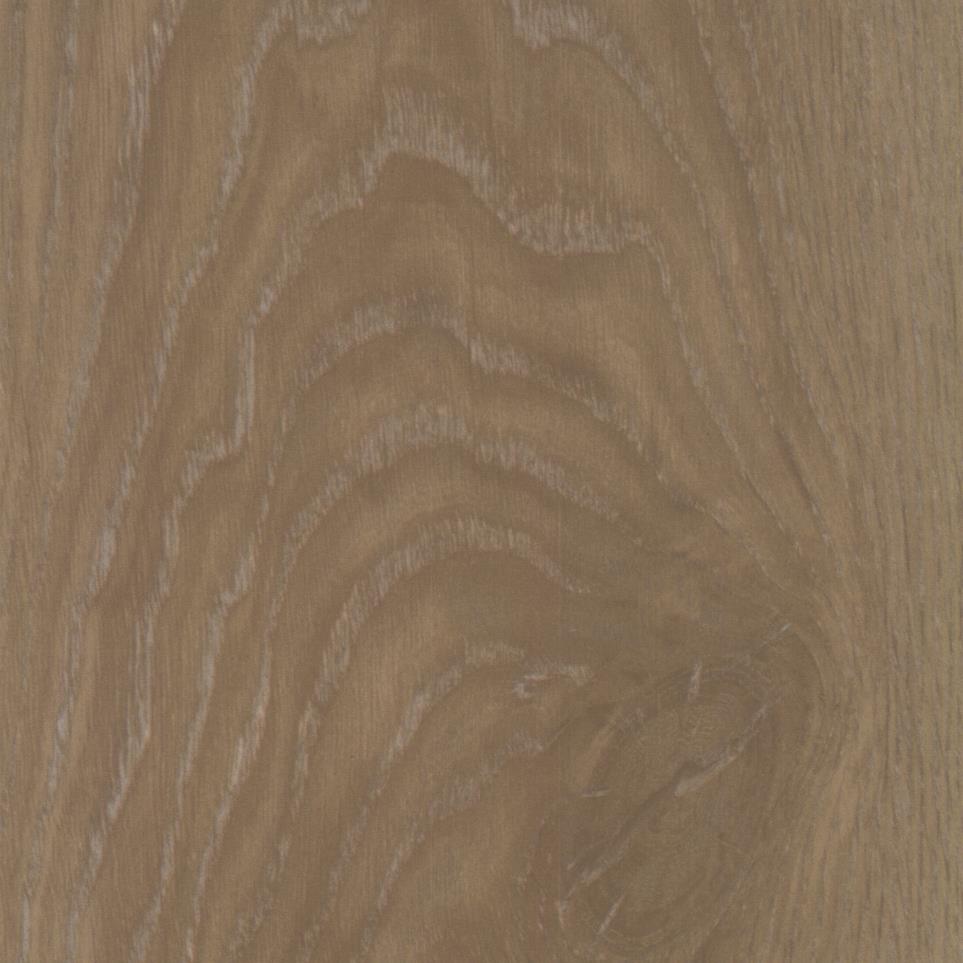 Trace Swatch