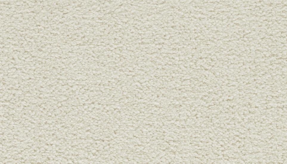 Up Front Solid Swatch