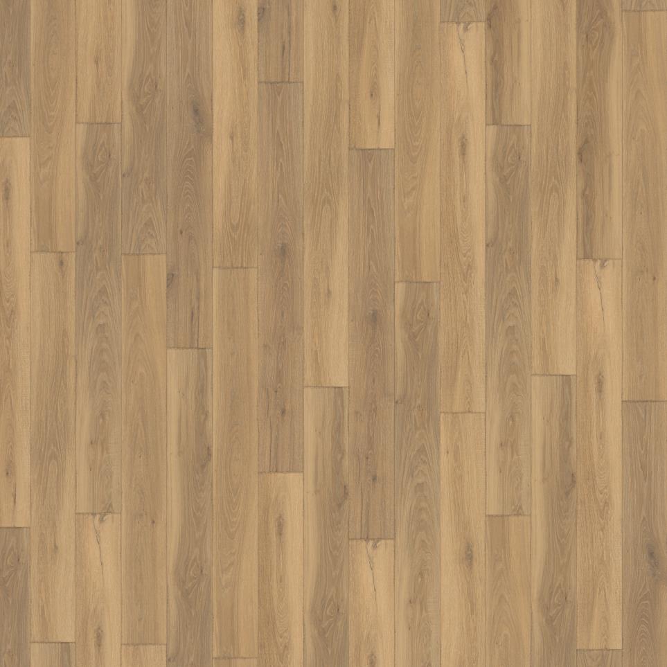 East Upland Colossal Swatch