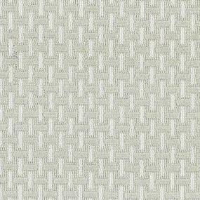 Timeless Elegance Swatch