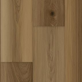 Progen Plus - 7X60 Swatch
