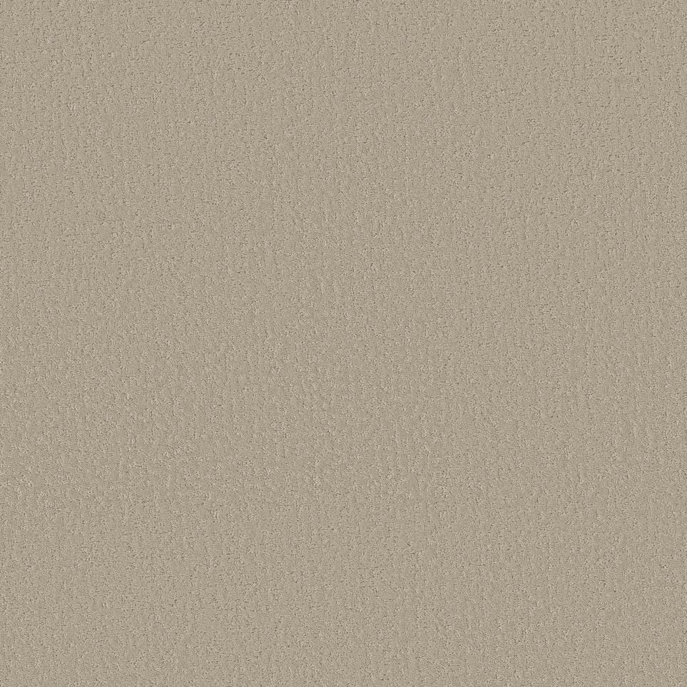 Spruce Up Swatch