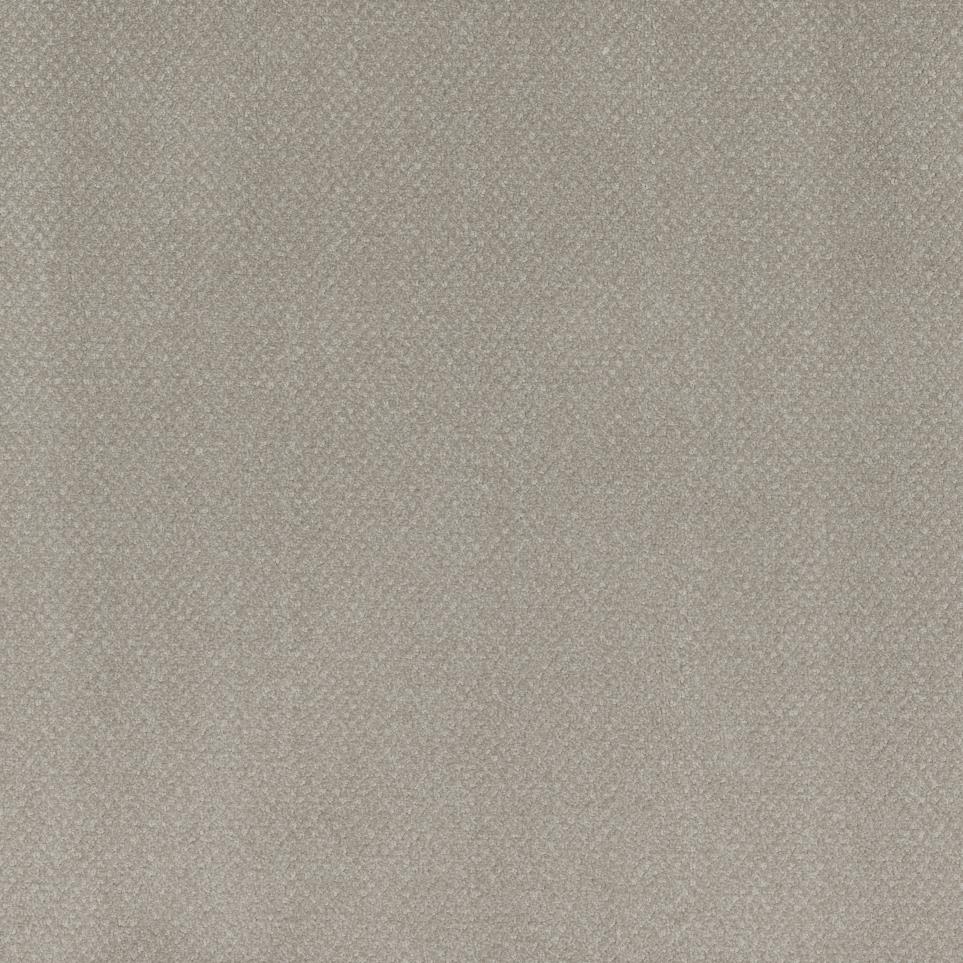 Not Complex Swatch