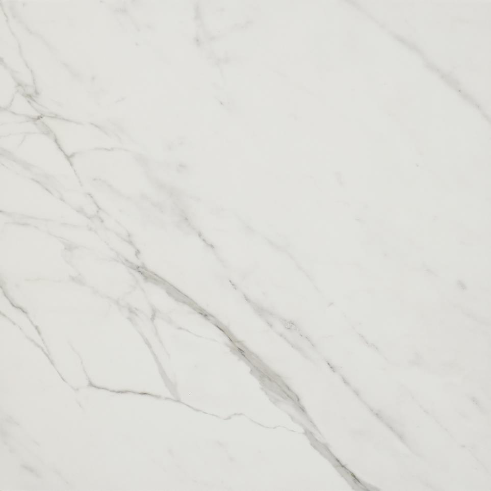 Platinum Square 24X24 Mt Swatch