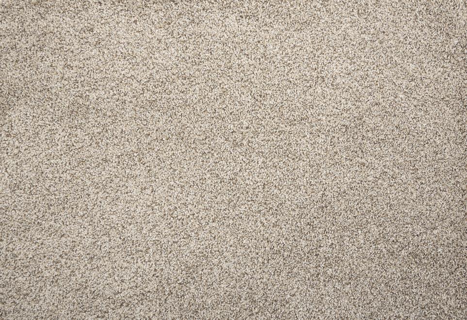 Beech Hill Swatch