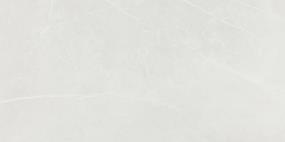 Platinum Rectangle 12X24 Gl Swatch