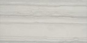 Chronicle Matte 12X24 Swatch