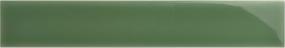 Triveni Glossy 2X12 Swatch