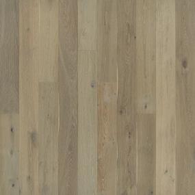 Ventura Swatch