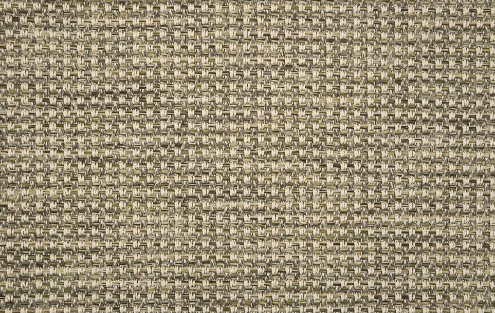 Palm Cove Swatch