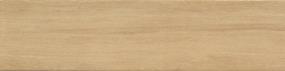 Larchmont Matte 6X24 Swatch