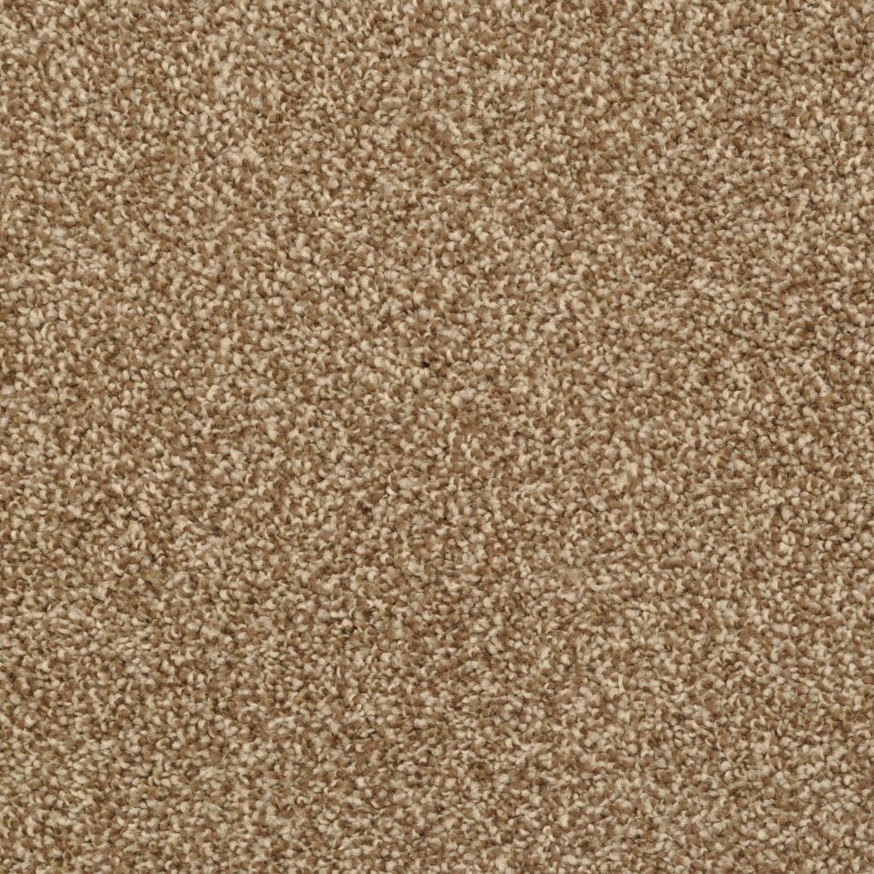 Cozy Swatch