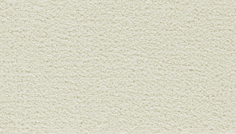 Up Front Solid Swatch
