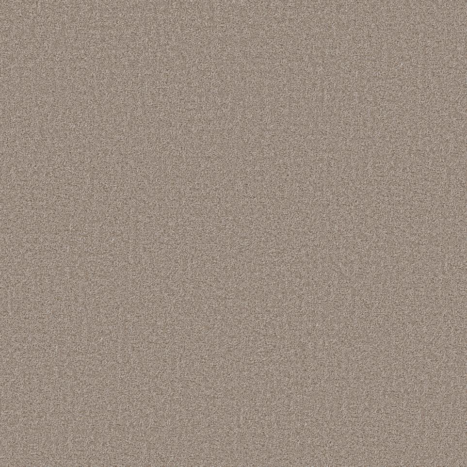 Acorn Street Swatch