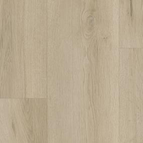 Evergen - Sublime Swatch