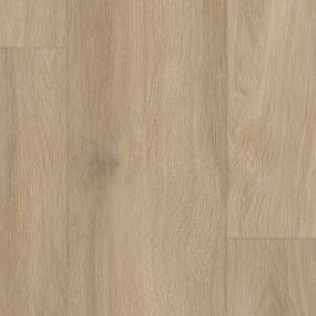 Progen Plus - 9X60 Swatch