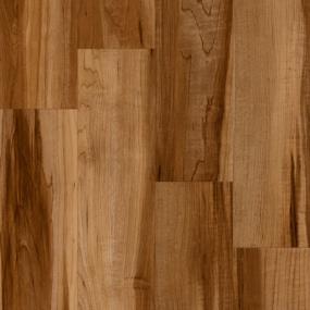 Progen - Rock Maple Swatch