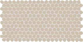 Keystones Organic Penny 1 Dm 12X22 MT Grp1 Swatch