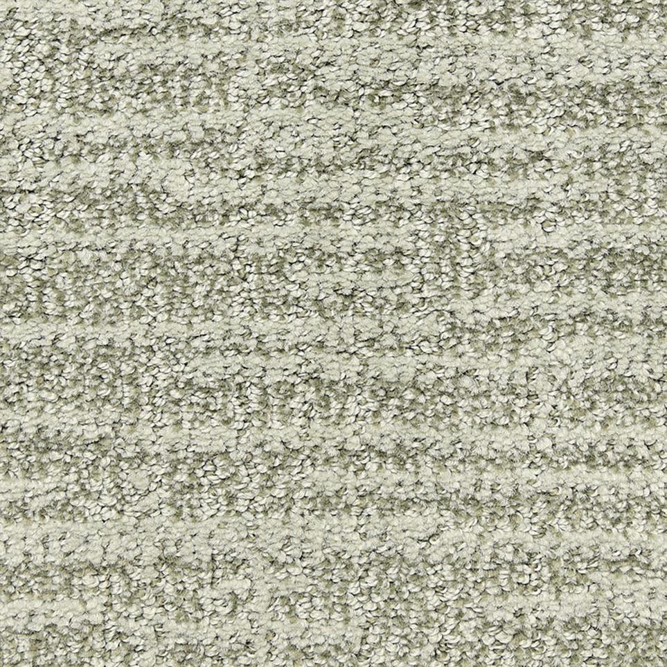 Expressions Swatch