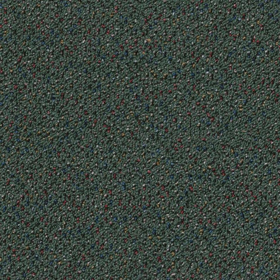 Salutary Swatch