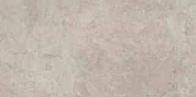 Terramor Honed 12X24 Swatch